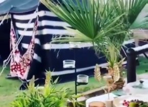 شاليه عزوف ضوء القمر